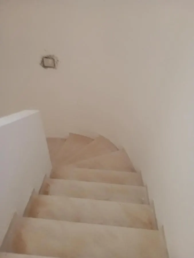 Modern Oasis - Rare Stylish Apartment Tunis